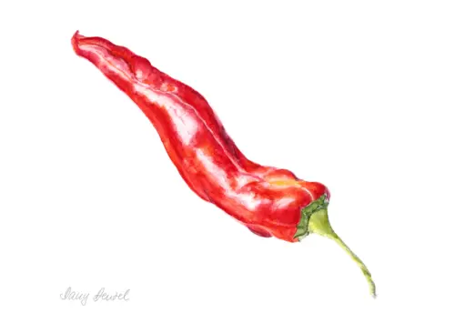 Pepper 2015
