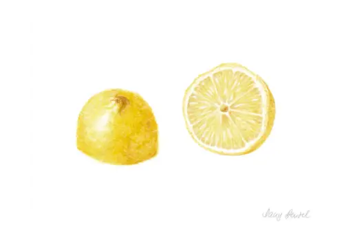 Lemon 2015