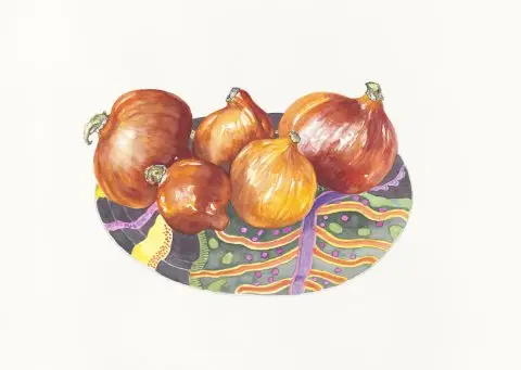 citrouuilles, 2024