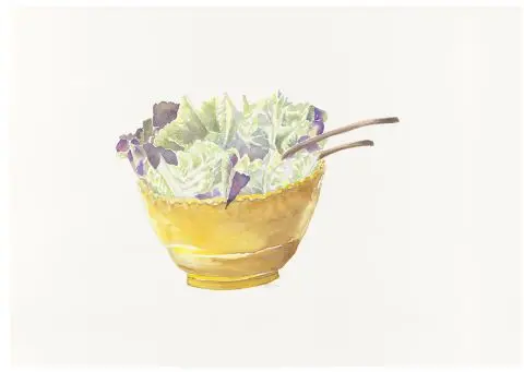 salade, 2024