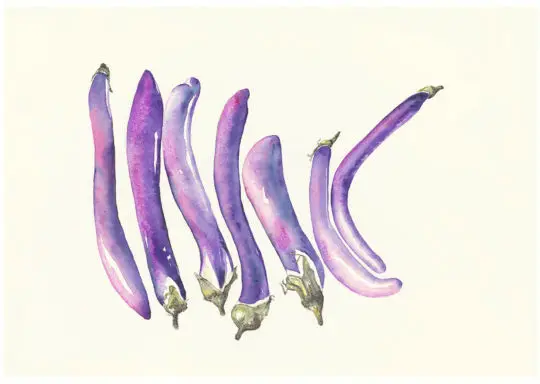 Aubergines italiens, 2021