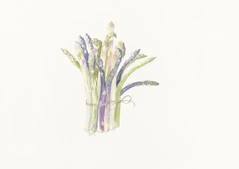 bouquet d'asperges, 2024
