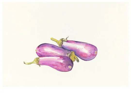 Aubergines, couleur rose, 2021